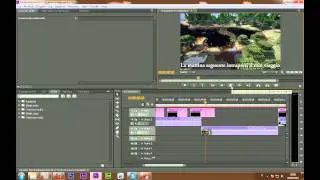 premie pro cs6 crash