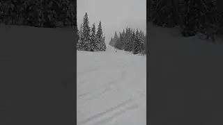 Славско 2019год