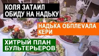 САМВЕЛ АДАМЯН КАК НАДЯ ПРИНИМАЛА ГОСТЕЙ. ЗА КАКИЕ СРЕДСТВА ДЕНЬ РОЖДЕНИЕ БУЛЬТЕРЬЕРА