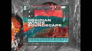 Soundscape VST: Evolving Pad for Scenes | TXVXN VST