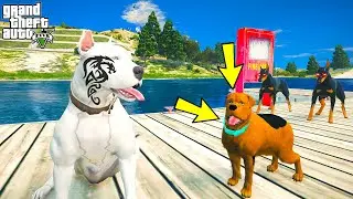 EJDER DÖVMELİ MİKE KÜÇÜK SCOOBY DOO'NUN HAYATINI KURTARIYOR! - GTA 5