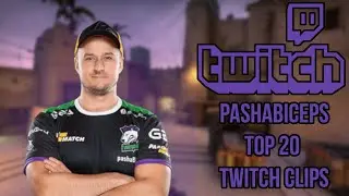 Pashabiceps Top 20 Twitch Clips (CS:GO)