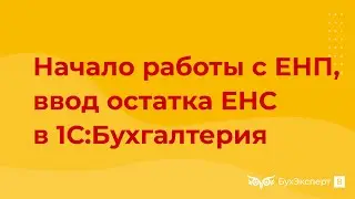 Начало работы с ЕНП и ввод остатка по ЕНС в 1С 8.3 Бухгалтерия