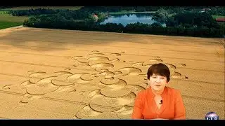 НЛО. Круги на полях. Разгадка. Школа Разума 19