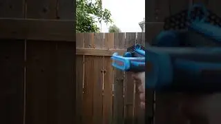 Frog Bolt vs Wasp (Confirmed Kill) #3dprinting