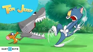 TOM VE JERRY | Yeni Arkadaş | 