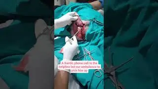 GOLU'S Rescue | FRIENDICOES SECA