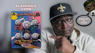 4 WILD REVERBS IN ONE | Flamingo Verb | 