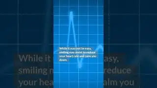 One Solution On How To Better Your Mental Health 