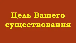 Цель Вашего существования