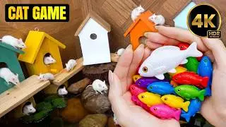 [NO ADS] 🏠 Cat Game: Waterfront Village, Colorful Birdhouses & Rainbow Toy Fish 4K HDR 🐾