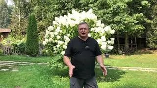 О важности выбора легавой собаки