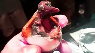 Ты не сможешь съесть это. Топ 5 самых необычных блюд в мире