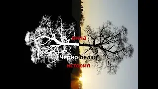 Вина. Что в ней хорошего.