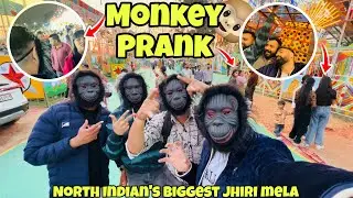 Monkey prank in jhiri mela 2025 | North India’s biggest mela | Public reaction 😂 | | Last day |
