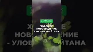 Нововведения (бида) - это уловка шайтана! Нету в исламе хороших нововведений!