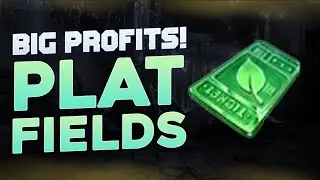 Maximizing Profit in Platinum Fields - Relic Tool vs Purple Tool | Lost Ark