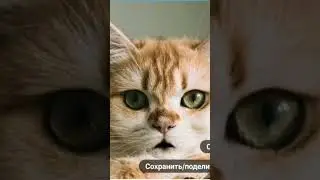 Не знаю что снимать поэтому держите это