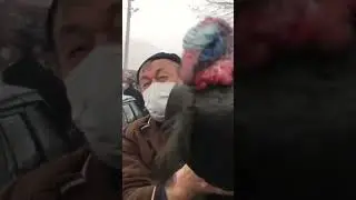 Ele Almak Öyle Kolay Değil Dayı