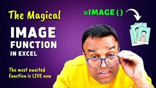 The Magical Image Function in Excel (New Excel Function) | Vivekananda Sinha | Video 237