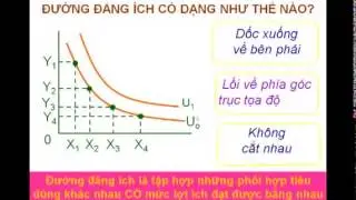 Lý thuyết hành vi người tiêu dùng