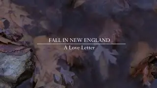 FLY FISHING NEW ENGLAND- A Love Letter to Fall