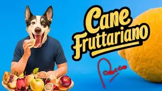 CANE FRUTTARIANO - ROCCO