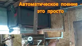 Автоматическая система поения скота.
