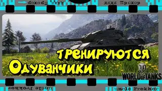 Клан с нуля -тренировка одуванчиков Мира Танков WOT LESTA