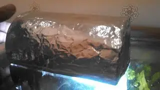 Самый дешёвый аквариумный светильник