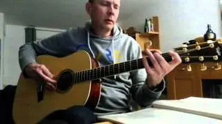 Venus - Shocking Blue Acoustic Cover