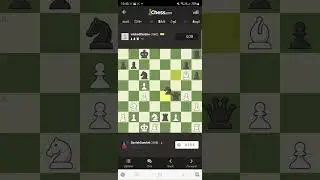 I blundered my queen.
