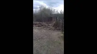 уборка городского кладбища. Отчёт бригадира