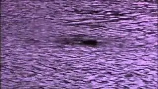 George River 6