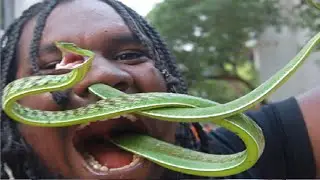6 Images You Won't Believe Weren't Photoshopped!