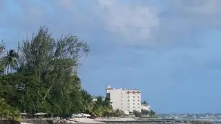 DSC 4425