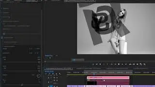 Adobe Premiere Pro Tutorial - per Character Text Animation with typeGEMs V2 - QuickStart Tutorial