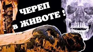 В ЖИВОТЕ ЕГИПЕТСКОЙ МУМИИ БЫЛ ЧЕРЕП! Сенсация археологии