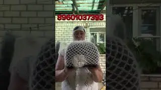 Кольцевой кардиган