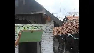 ngintip tetangga lagi begituan