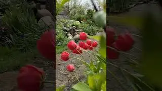 21 апреля 🌞