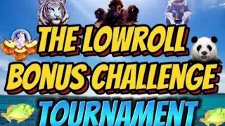 THE FINAL DAY🥳🎉 Lowroll Bonus Challenge TOURNAMENT🏆(1)