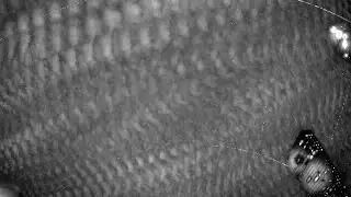 RMS BR0012 20240116 210532 049071 timelapse