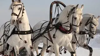 Эй, хорошо. Татьяна Дворянова.