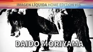 Daido Moriyama, fotógrafo