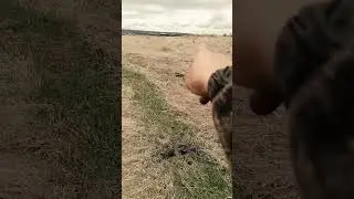 Кладовой Замок.