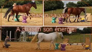 A Chacun sa voix ! A chacun son énergie