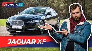 Jaguar XF - A predatory cat! | OTOMOTO TV test