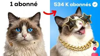 I Made My Cat Go Viral in 5 Days