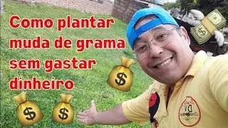 Como plantar muda de grama sem gastar dinheiro. By Takenaka